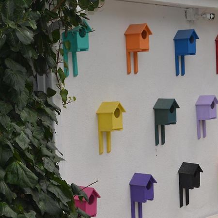 Senler Boutique Hotel ซาพานจา ภายนอก รูปภาพ